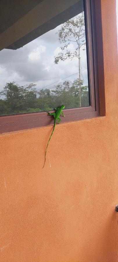 Green Leaf House La Fortuna Ngoại thất bức ảnh